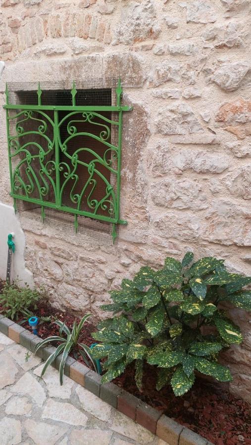 Studio With Garden In Rovinj Zewnętrze zdjęcie